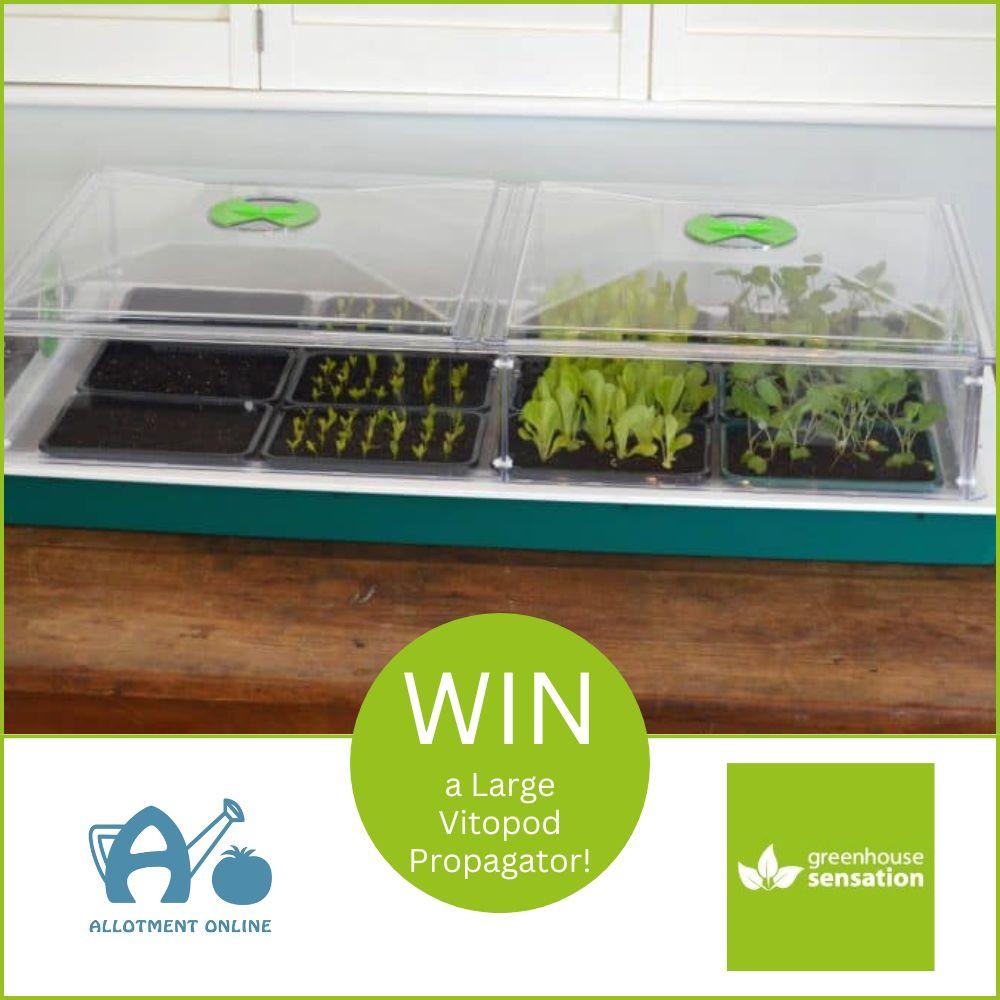 uploads/images/Ao Greenhouse Sensation Competition