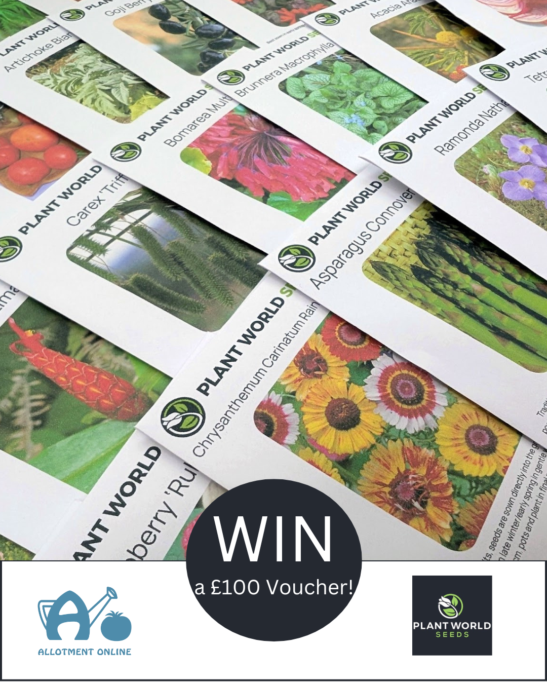 ao i greenhouse sensation 19