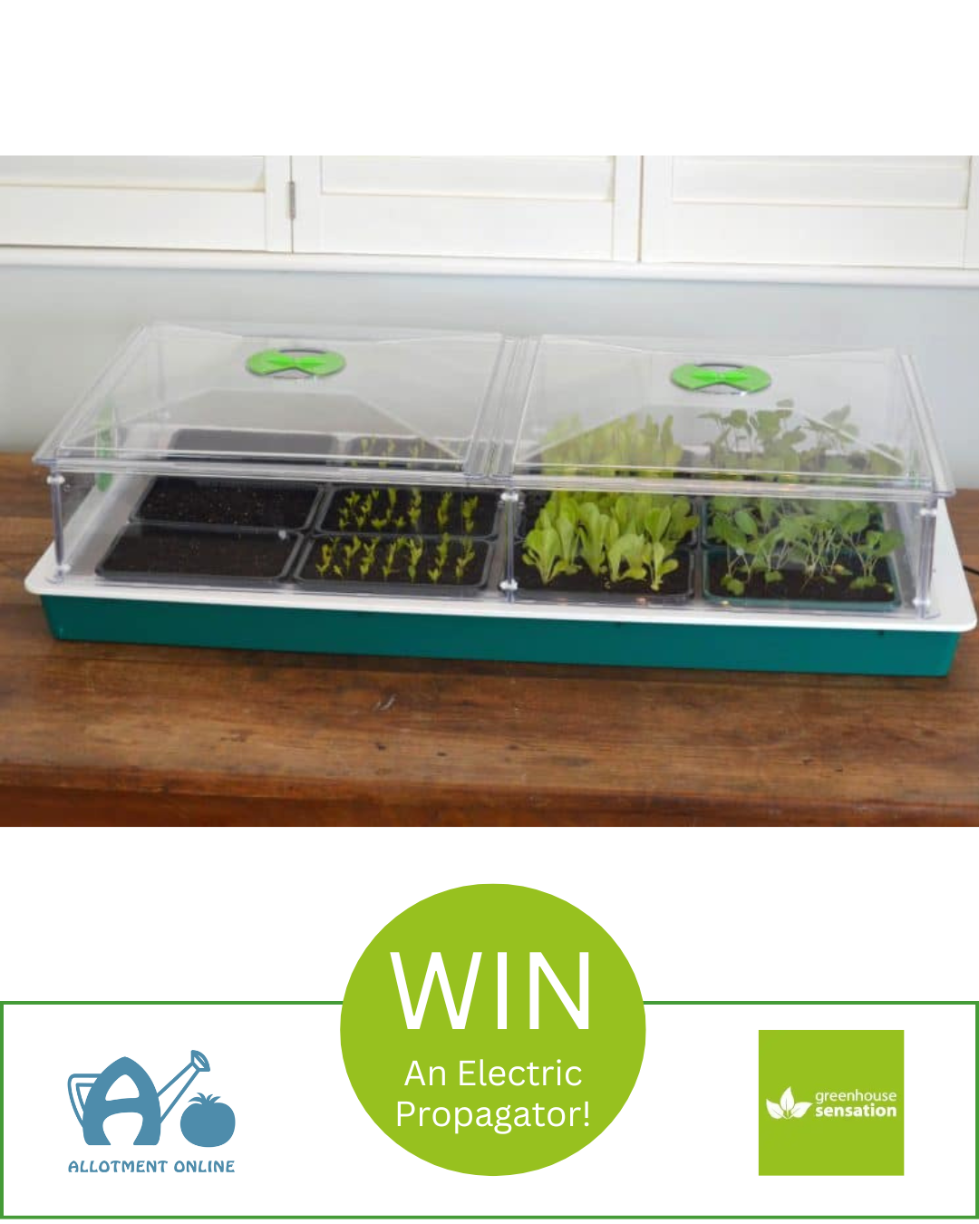 uploads/images/Ao I Greenhouse Sensation 20