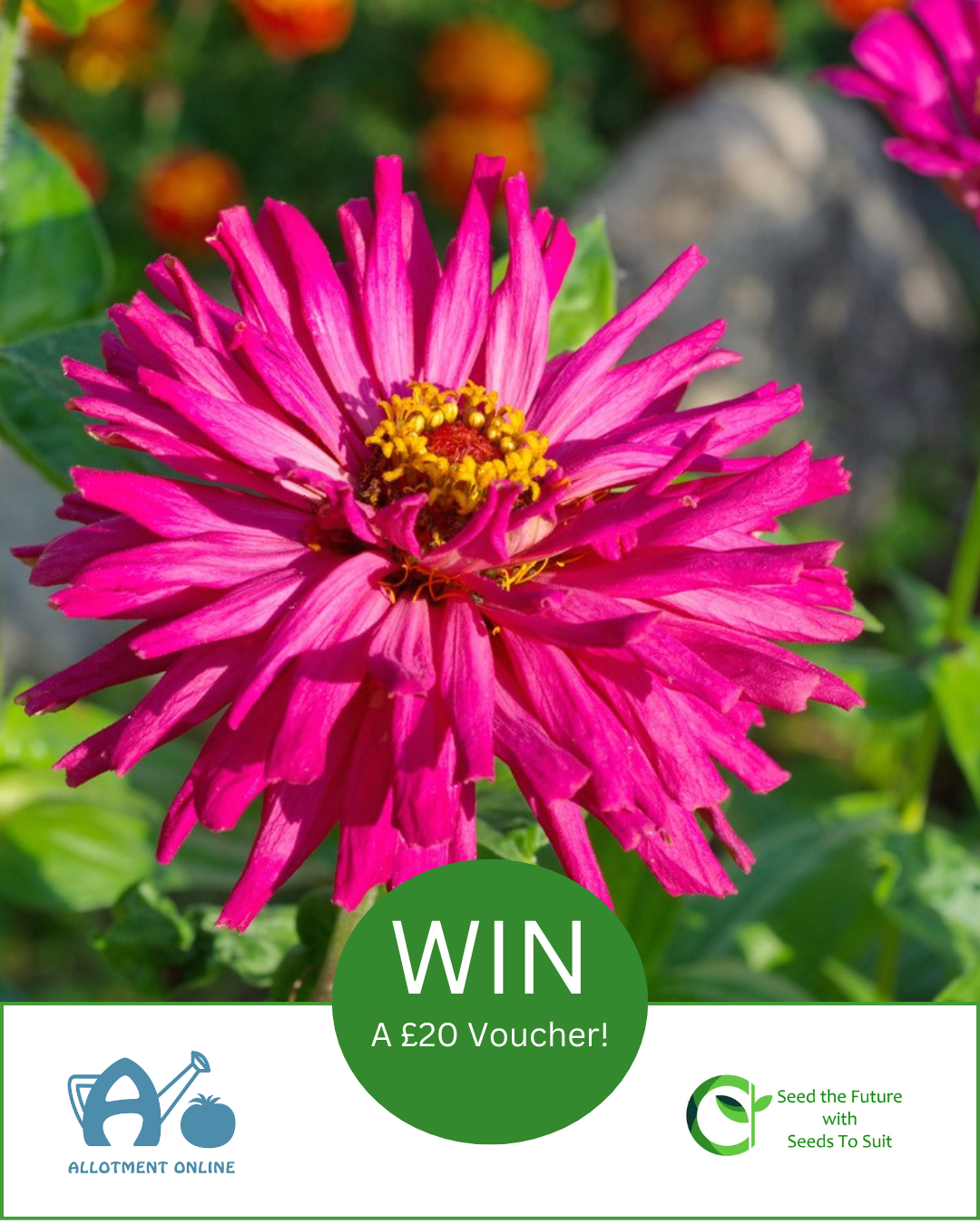 uploads/images/Ao I Greenhouse Sensation 22 Fa148ce5ce8ee6971f23d71d9e47fb09