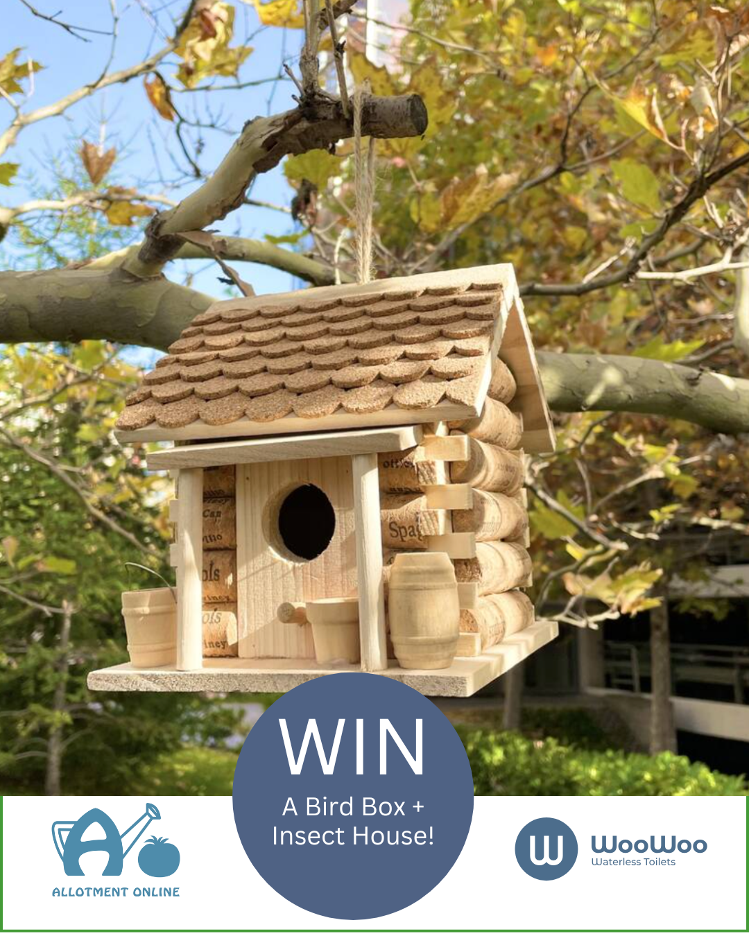 uploads/images/Ao I Greenhouse Sensation 24