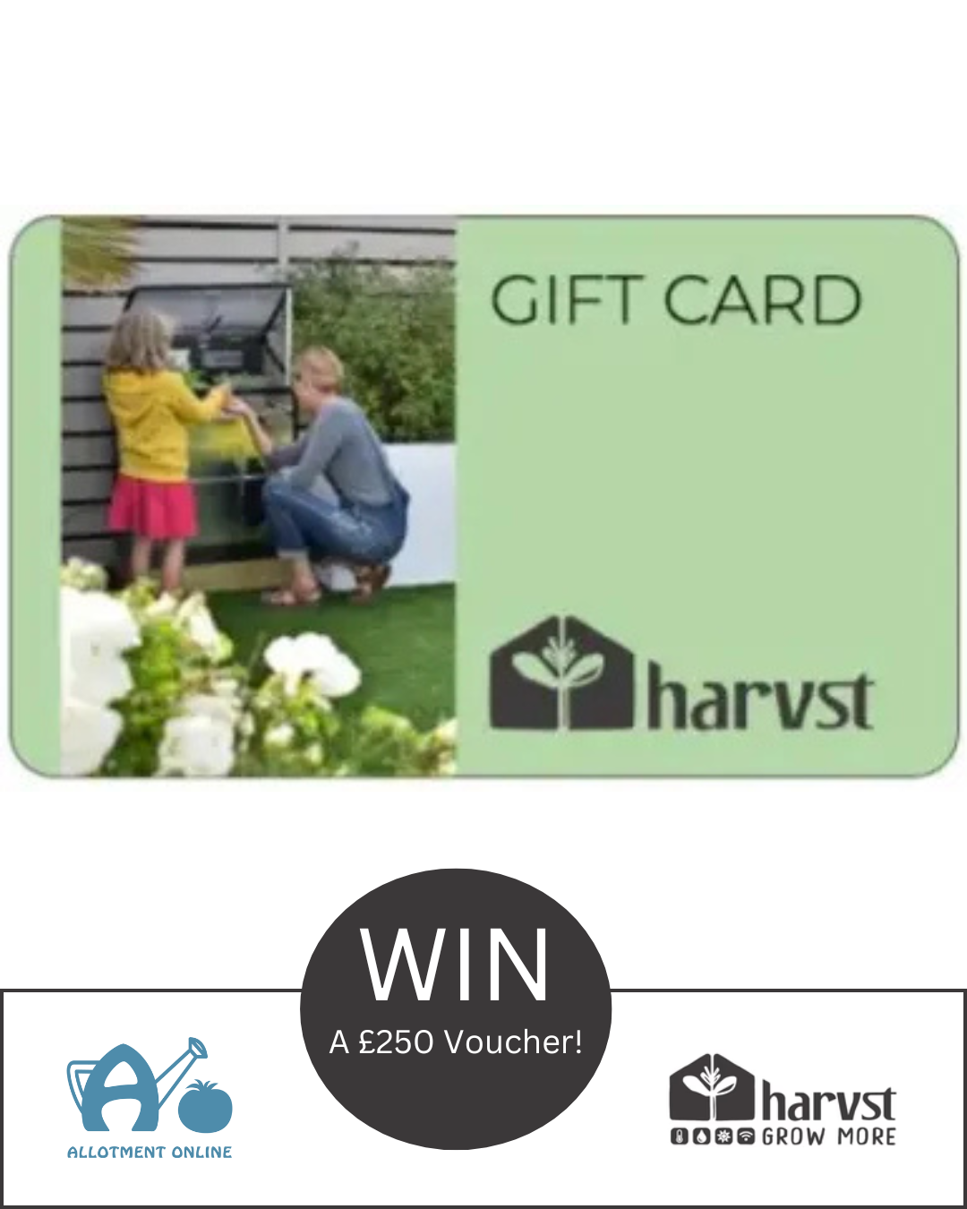 uploads/images/Ao I Greenhouse Sensation 27 Ffe94ffbfcd9fc3b8058b282a0a3003e