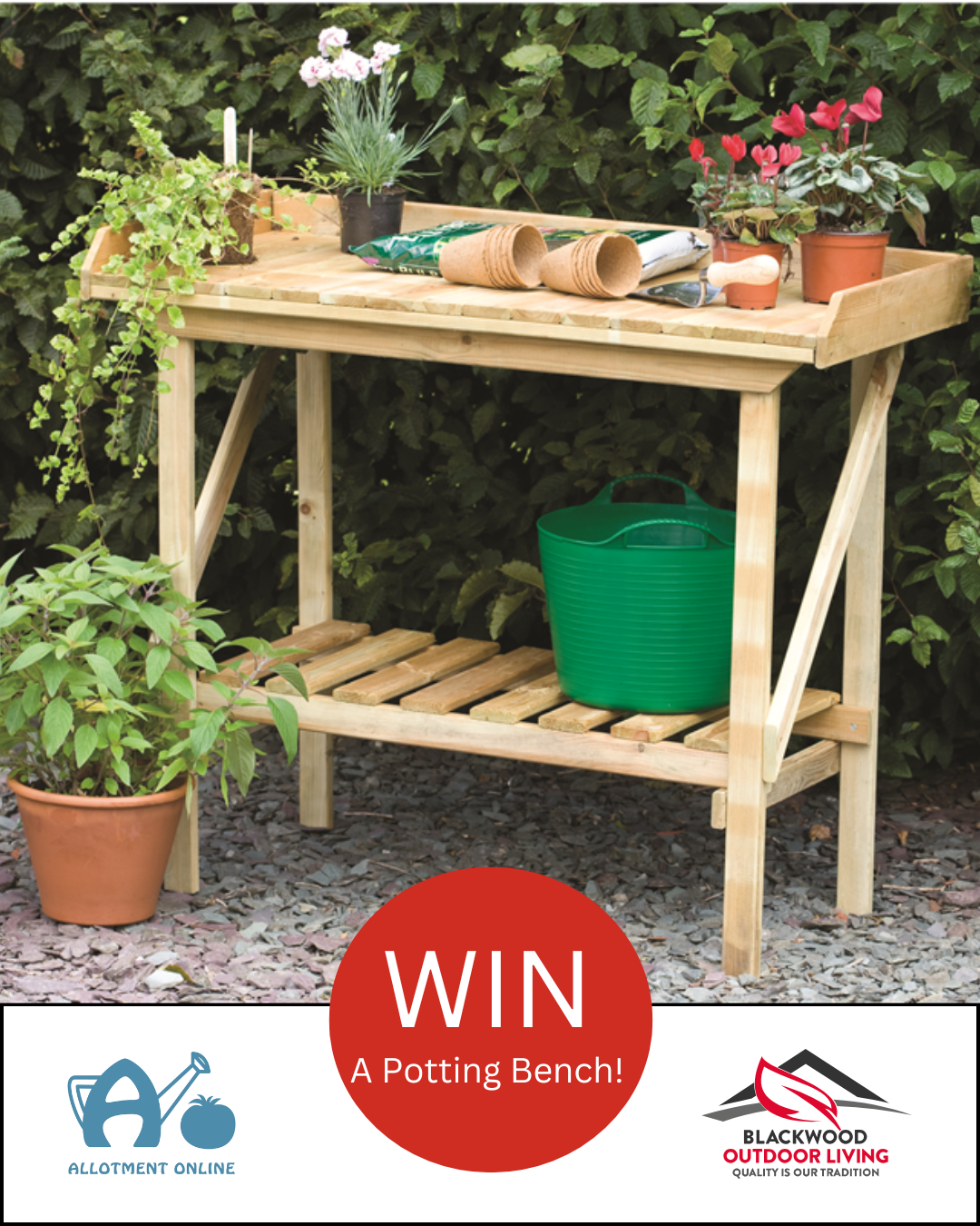 uploads/images/Ao I Greenhouse Sensation 30