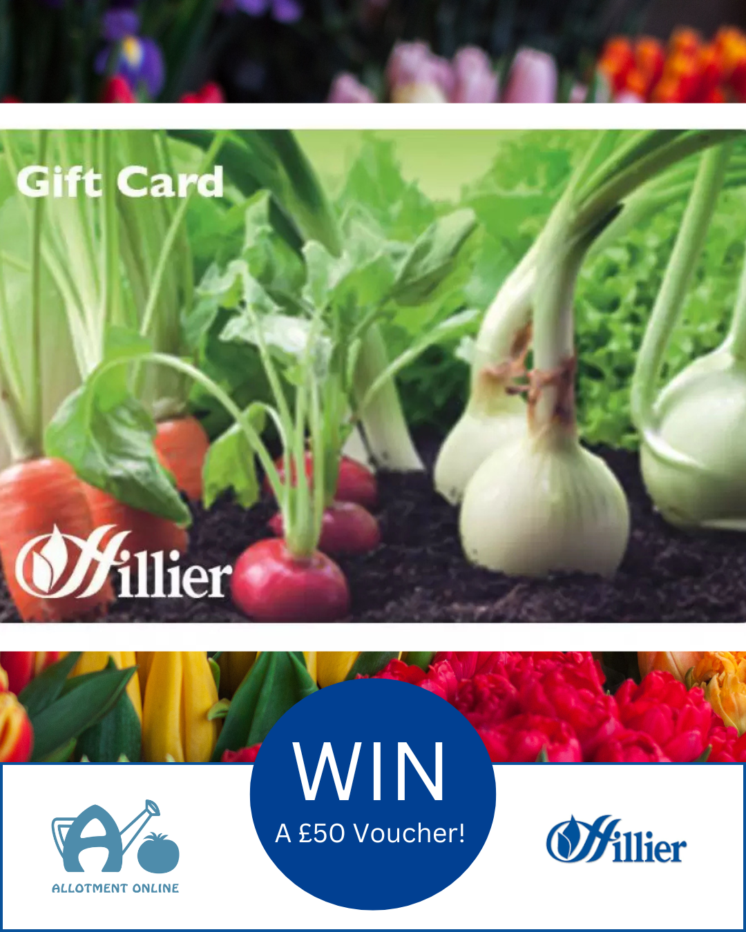 uploads/images/Ao I Greenhouse Sensation 33