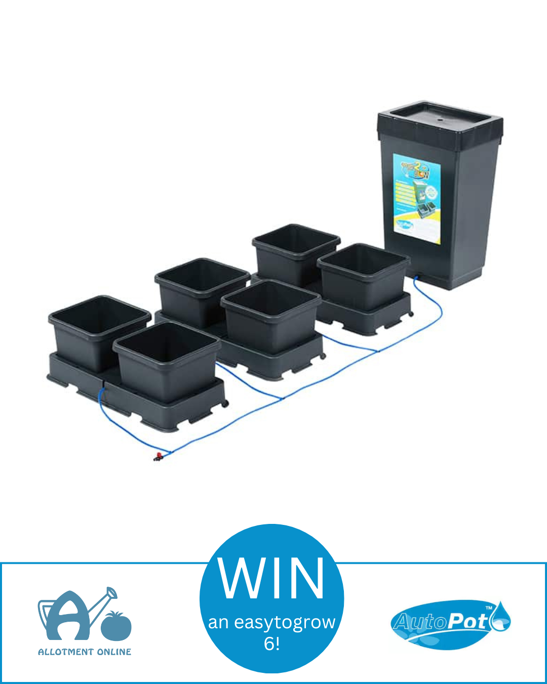 uploads/images/Ao I Greenhouse Sensation 5