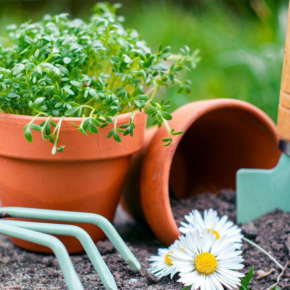 uploads/images/Ao Spring Bundle 