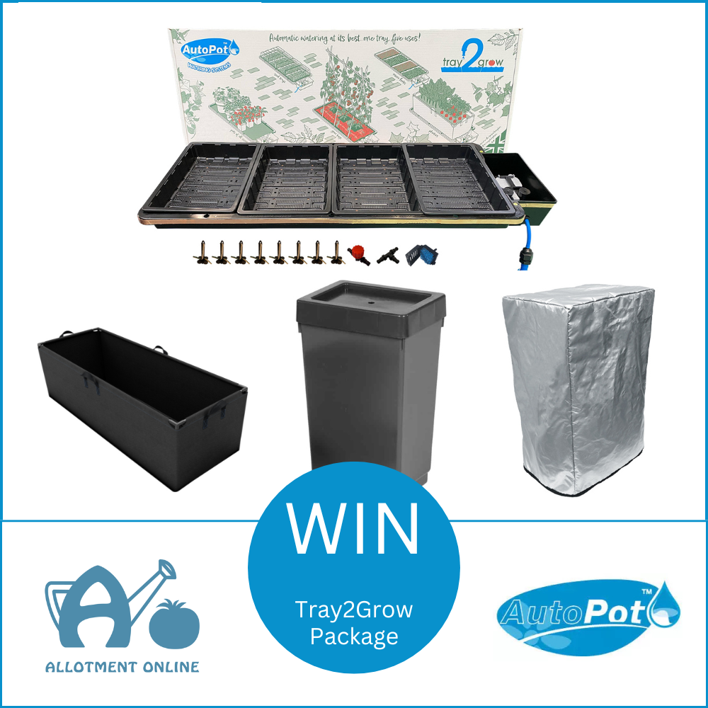 uploads/images/Ao Website Autopot Competition