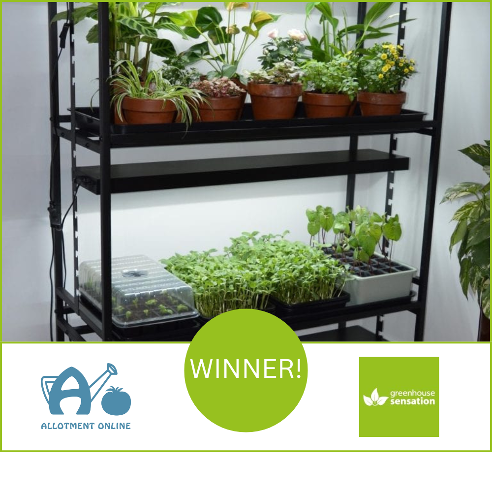 uploads/images/Ao Website Winner