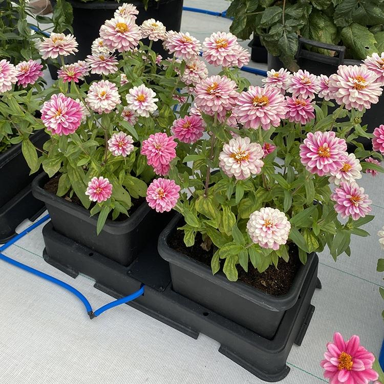 uploads/images/Ap201_sq_black_17