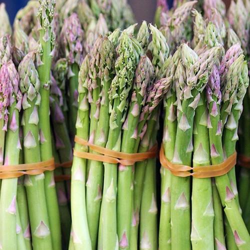 asparagus_mary_washington