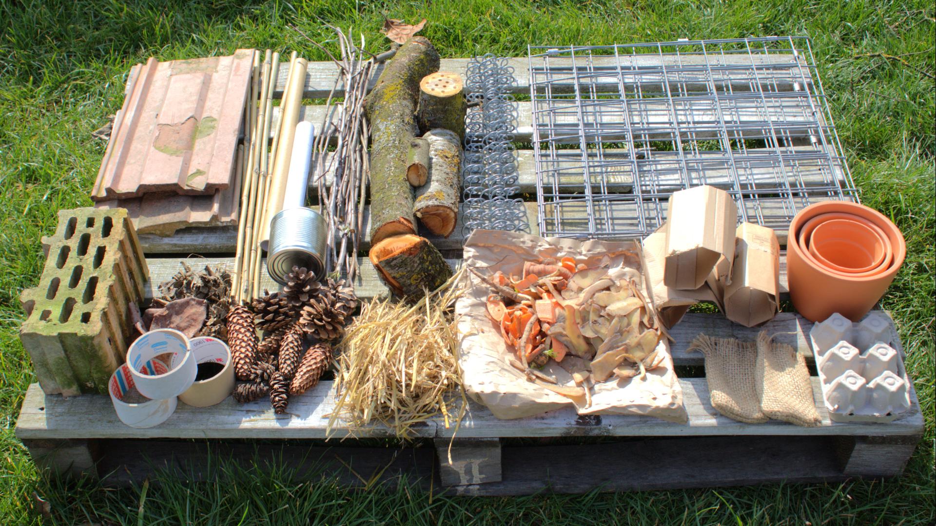 uploads/images/Bstep1_55211252740_o