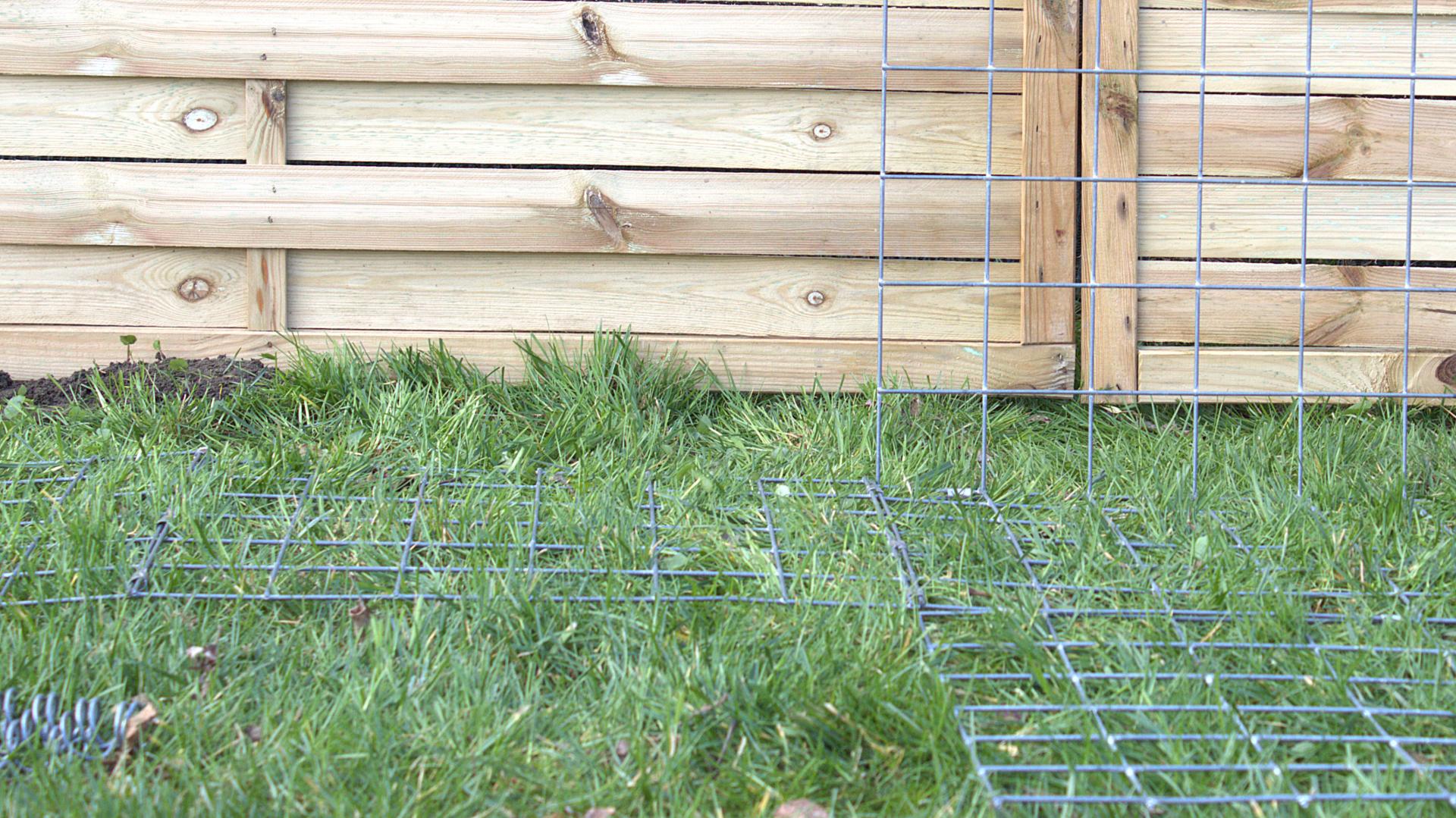 uploads/images/Bstep2_55210853826_o