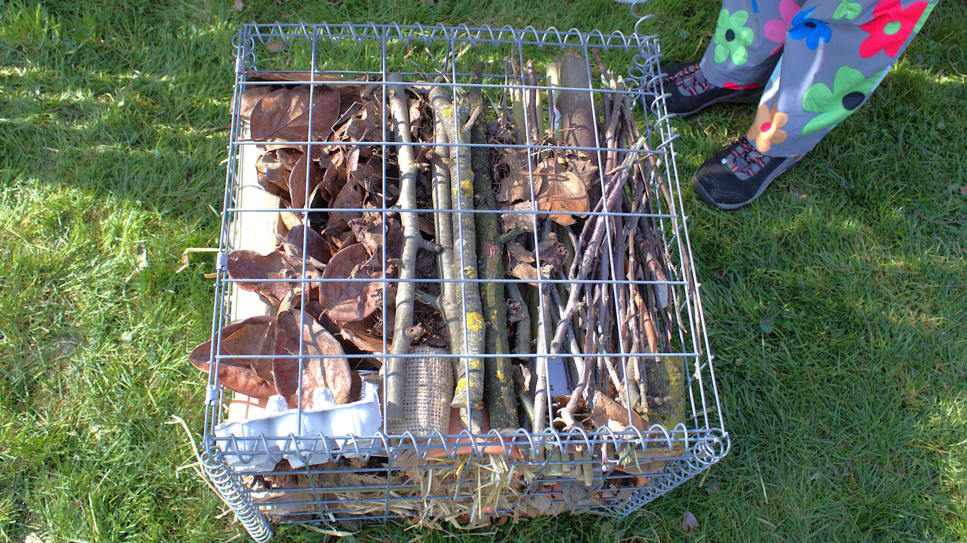 uploads/images/Bstep6_55209951002_o