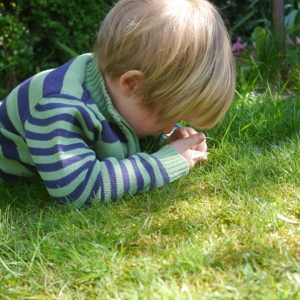 uploads/images/Category Spotting Amp Scavenging 600x600a