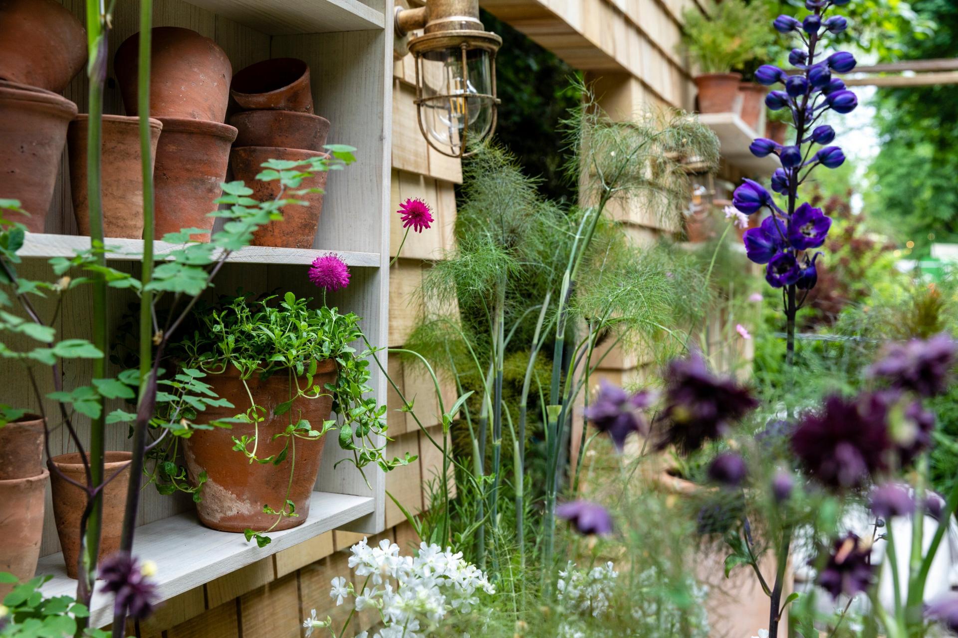 uploads/images/Chelsea Flower Show 2023 the Restorative Balcony Garden Sponsored By Viking 651ead5d23dcc