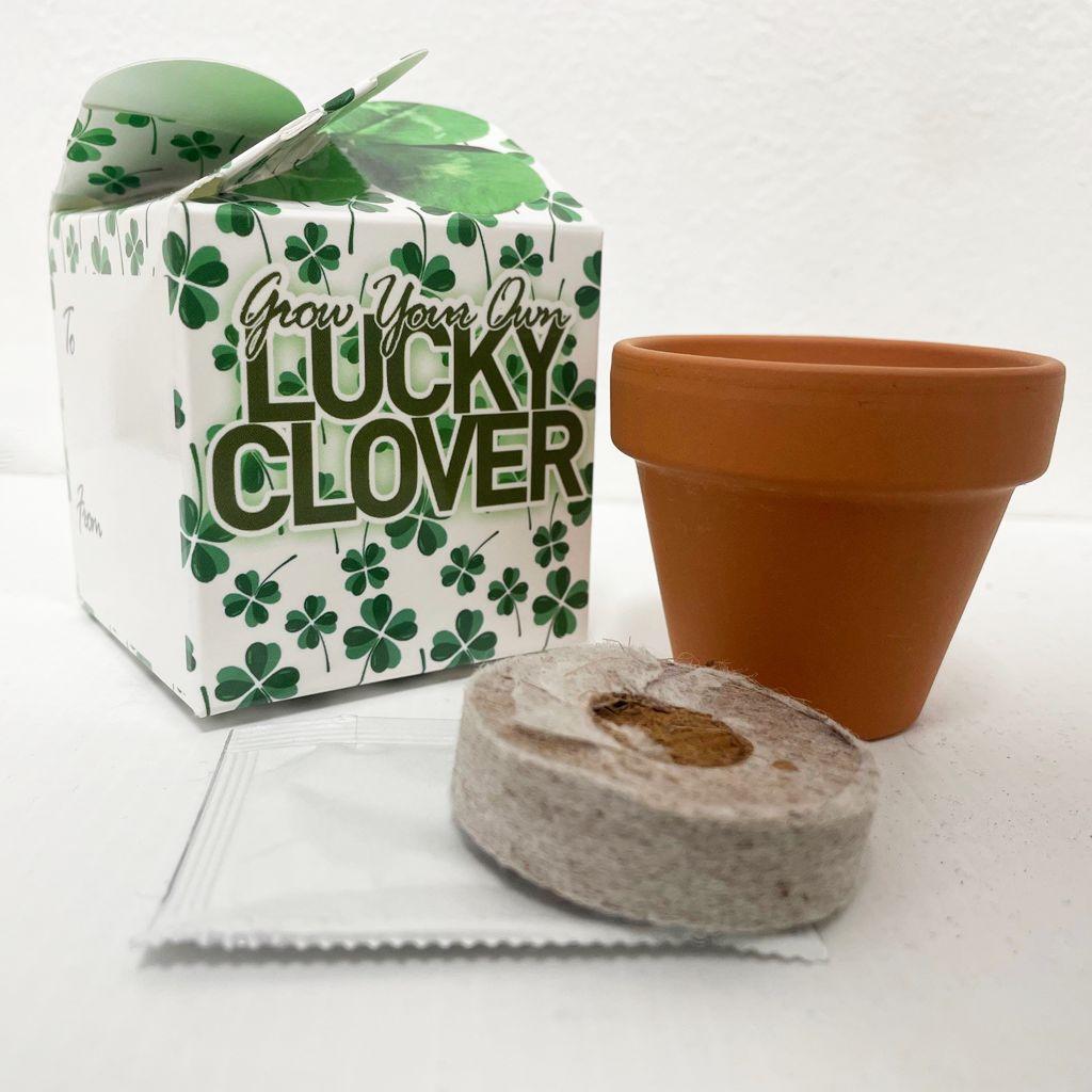 clover 1