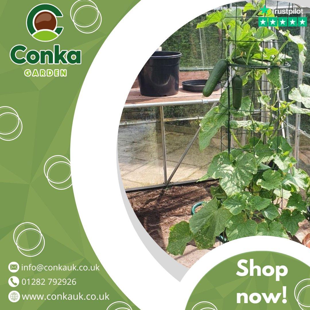 conka in greenhouse