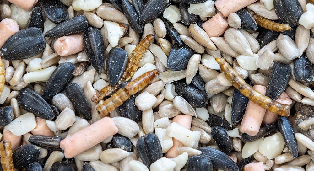 uploads/images/D70cabc0be6ba446d013 Product