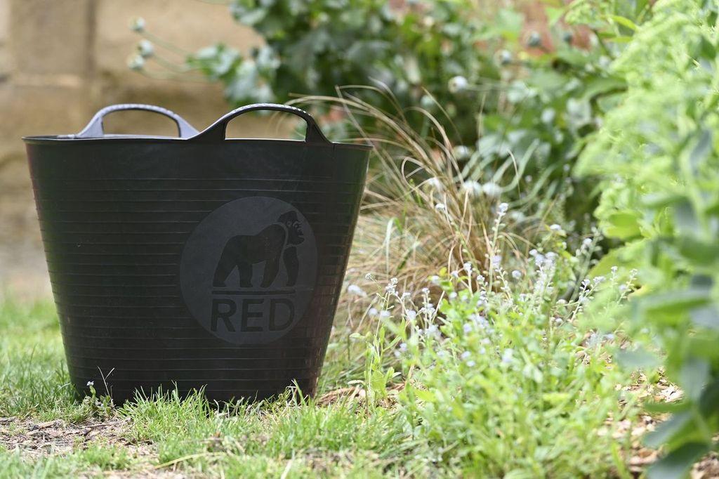 uploads/images/F9xt7c0r