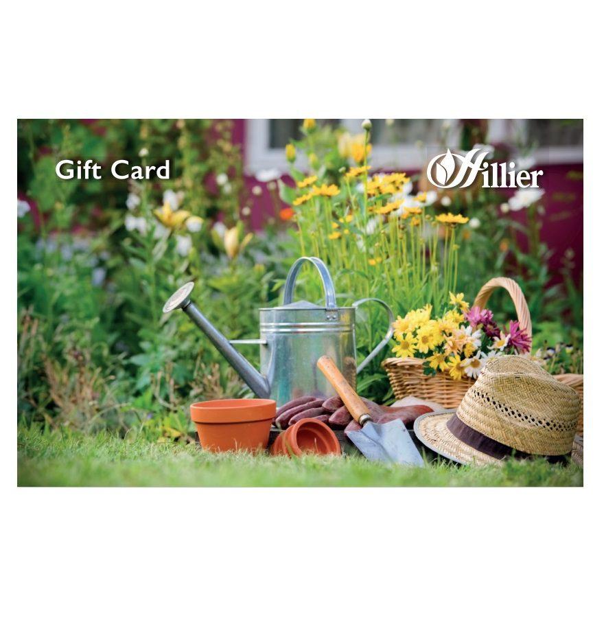 uploads/images/Gift Card Garden Hat 2