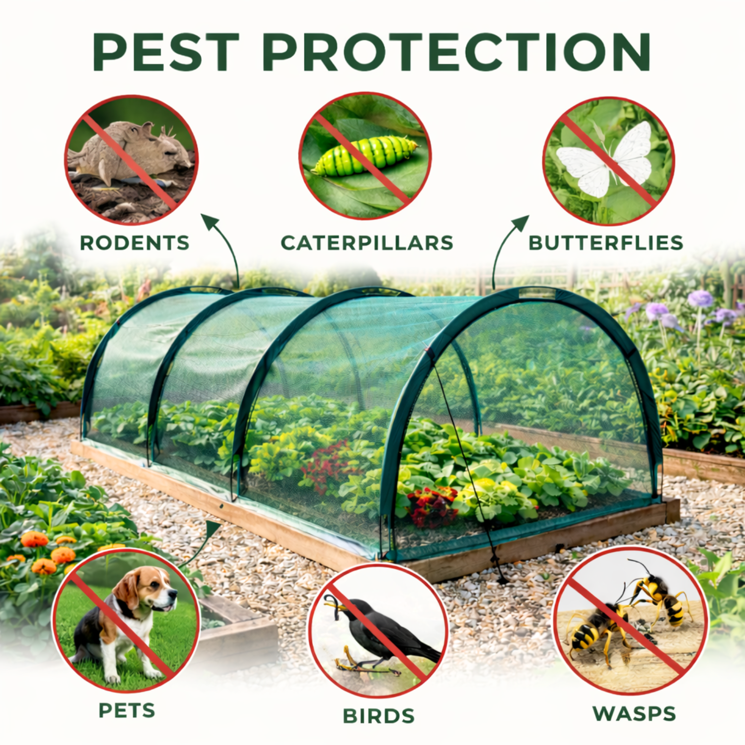 gpn200 20 1500x1500 1.4mb 7