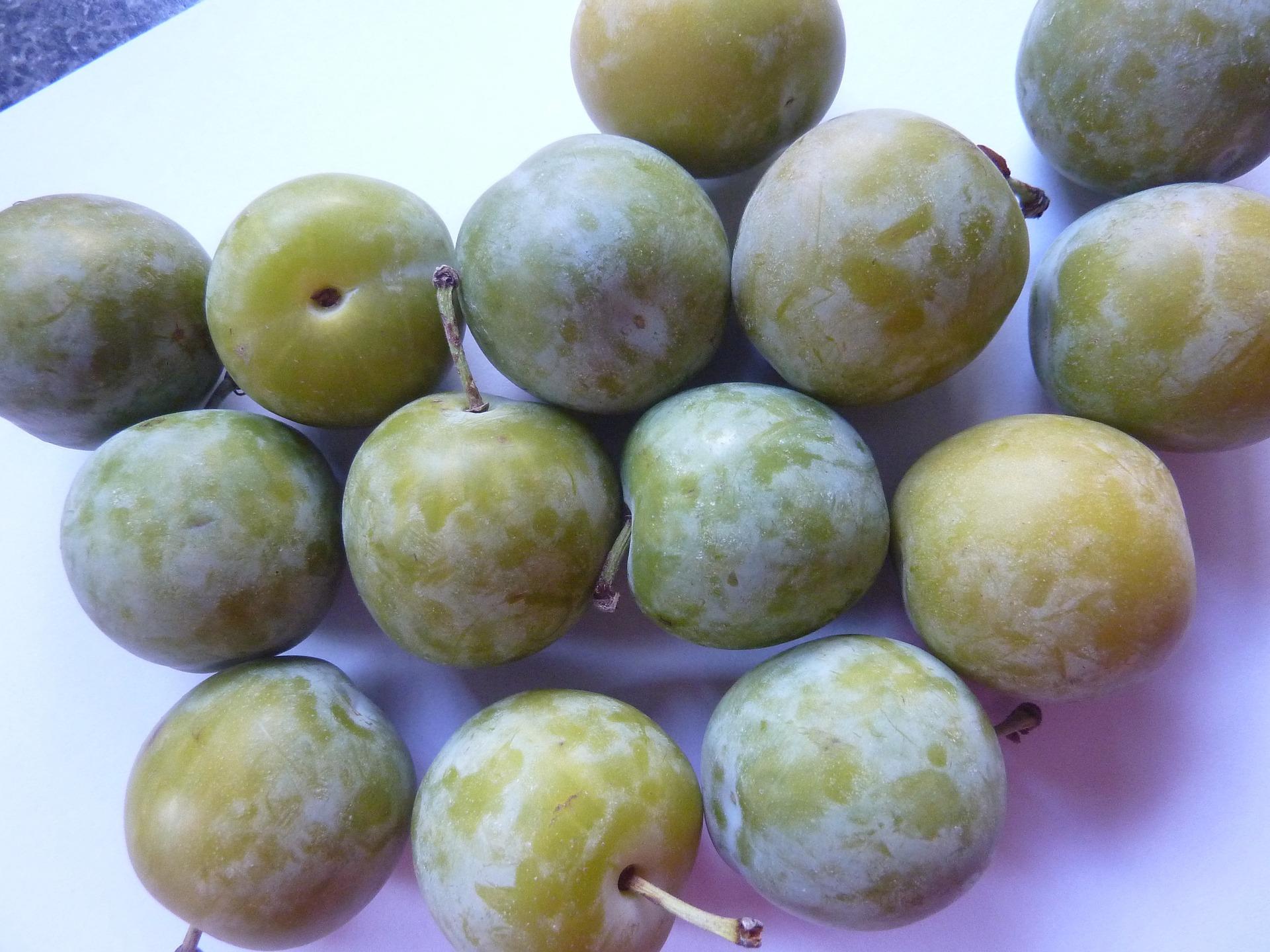 greengages 2795632_1920