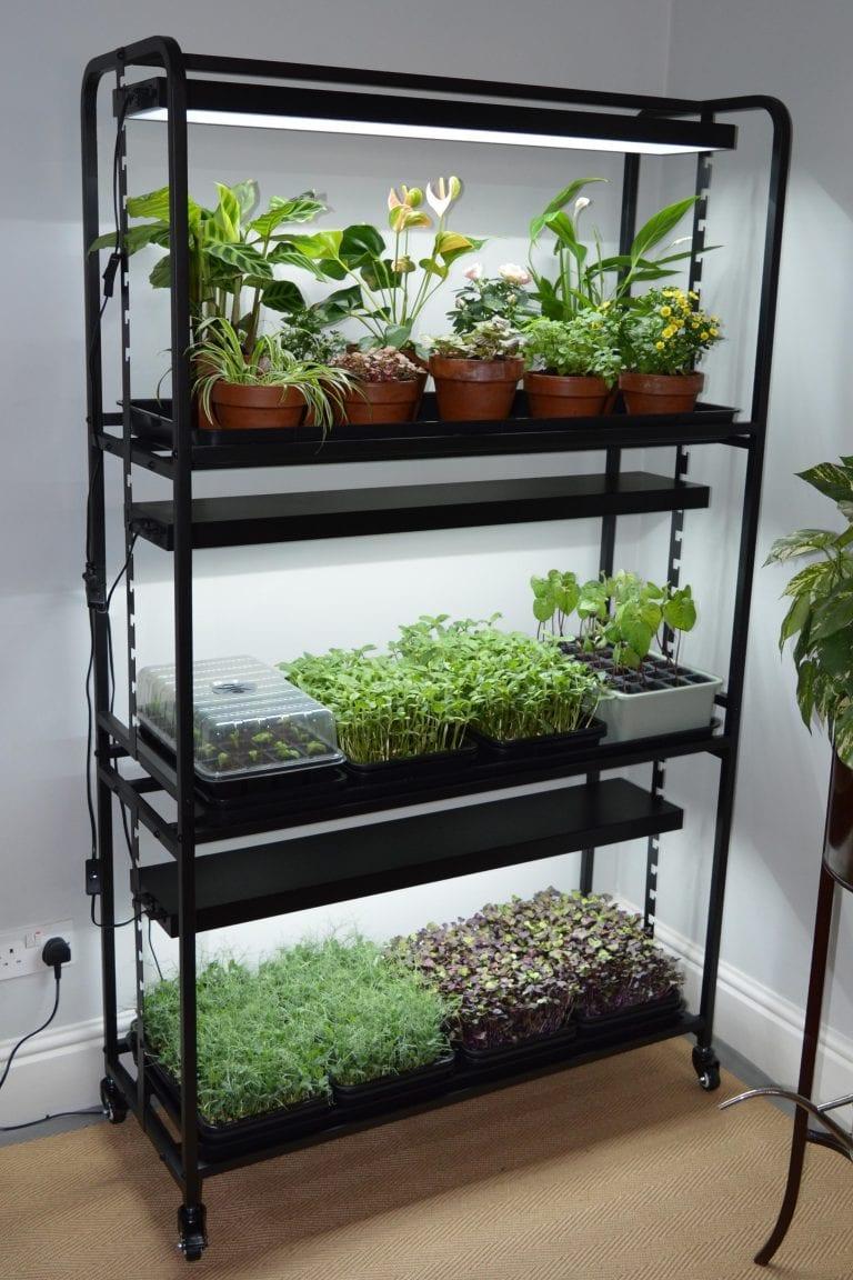 uploads/images/Growlight5