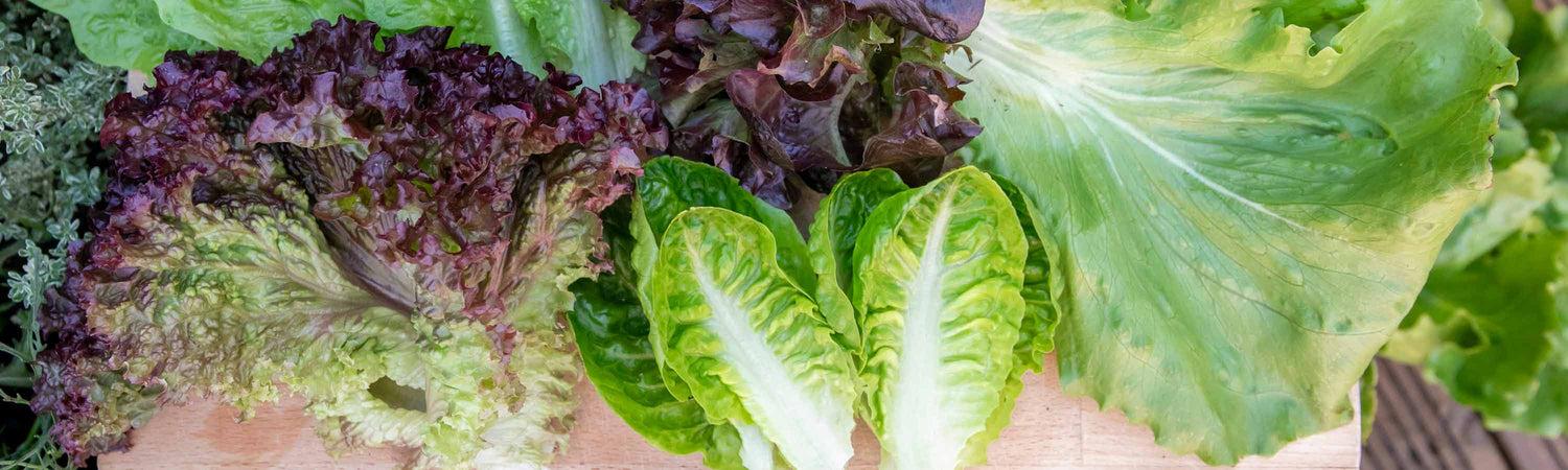 uploads/images/Image0 Bfc23212deb4b33cbc41dbf40d4d35d6