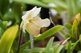 uploads/images/Images 1