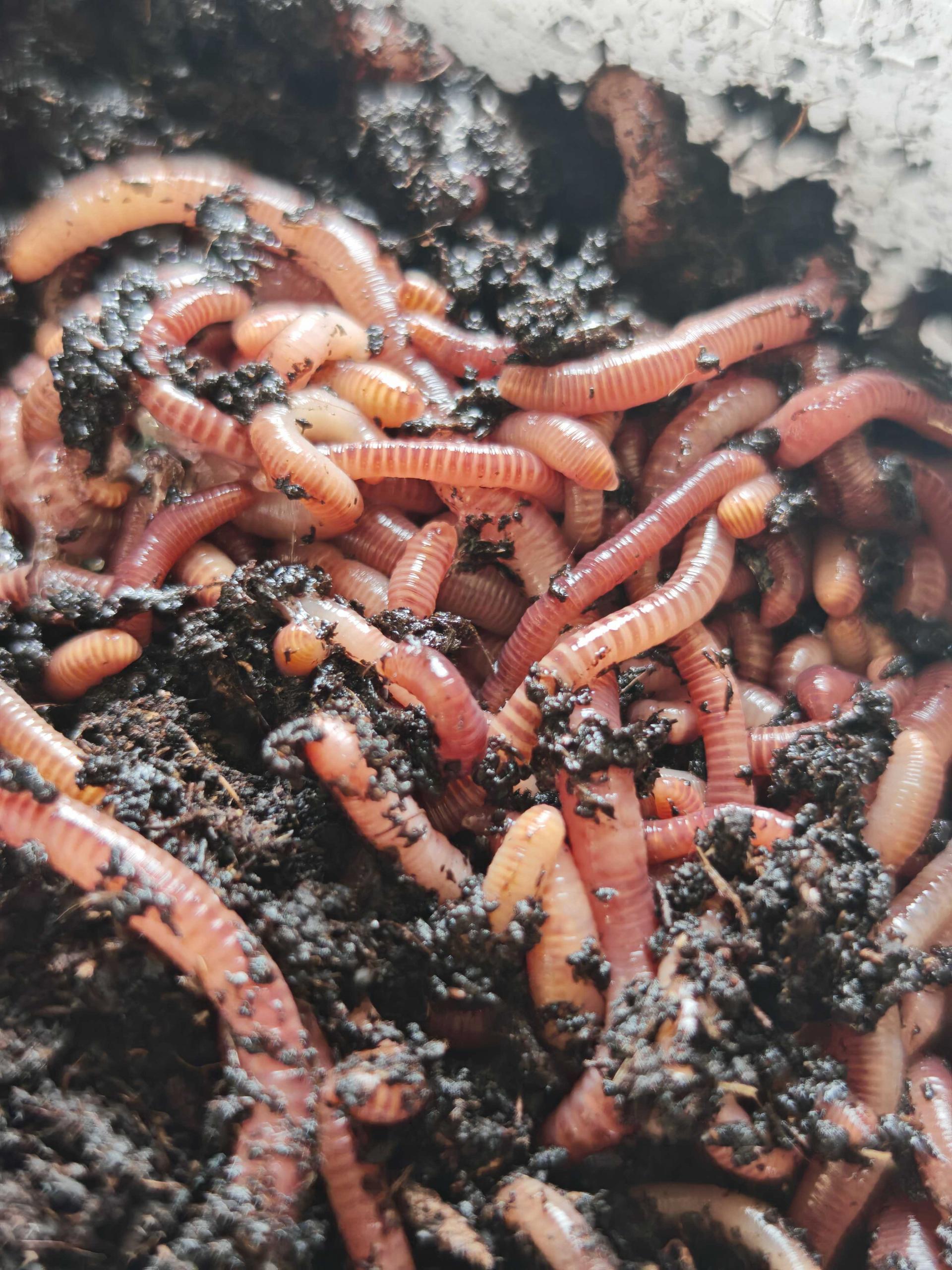 uploads/images/Img_20250613_125407 7f99e9807ff4afc6e4b74a20dedc1c8b