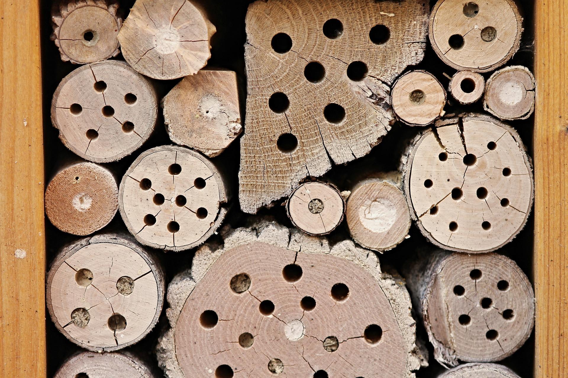 uploads/images/Insect Hotel 2643713_1920