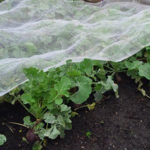 uploads/images/Insect Netting 300x300