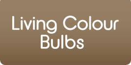 living colour logo
