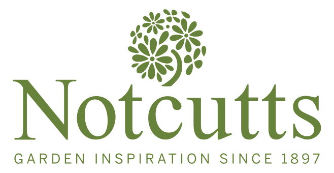 notcutts logo green 01