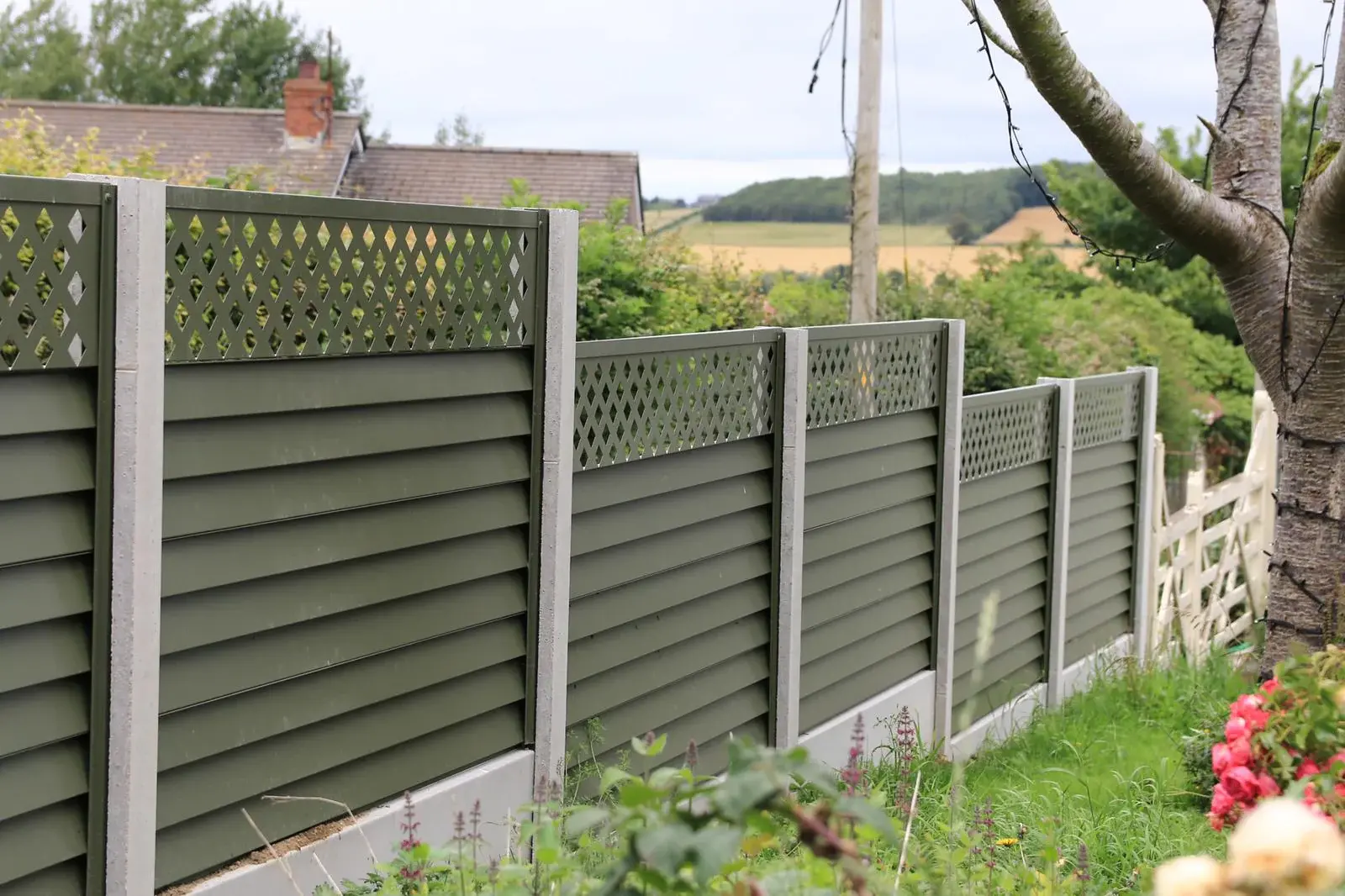 uploads/images/Olive_1944x