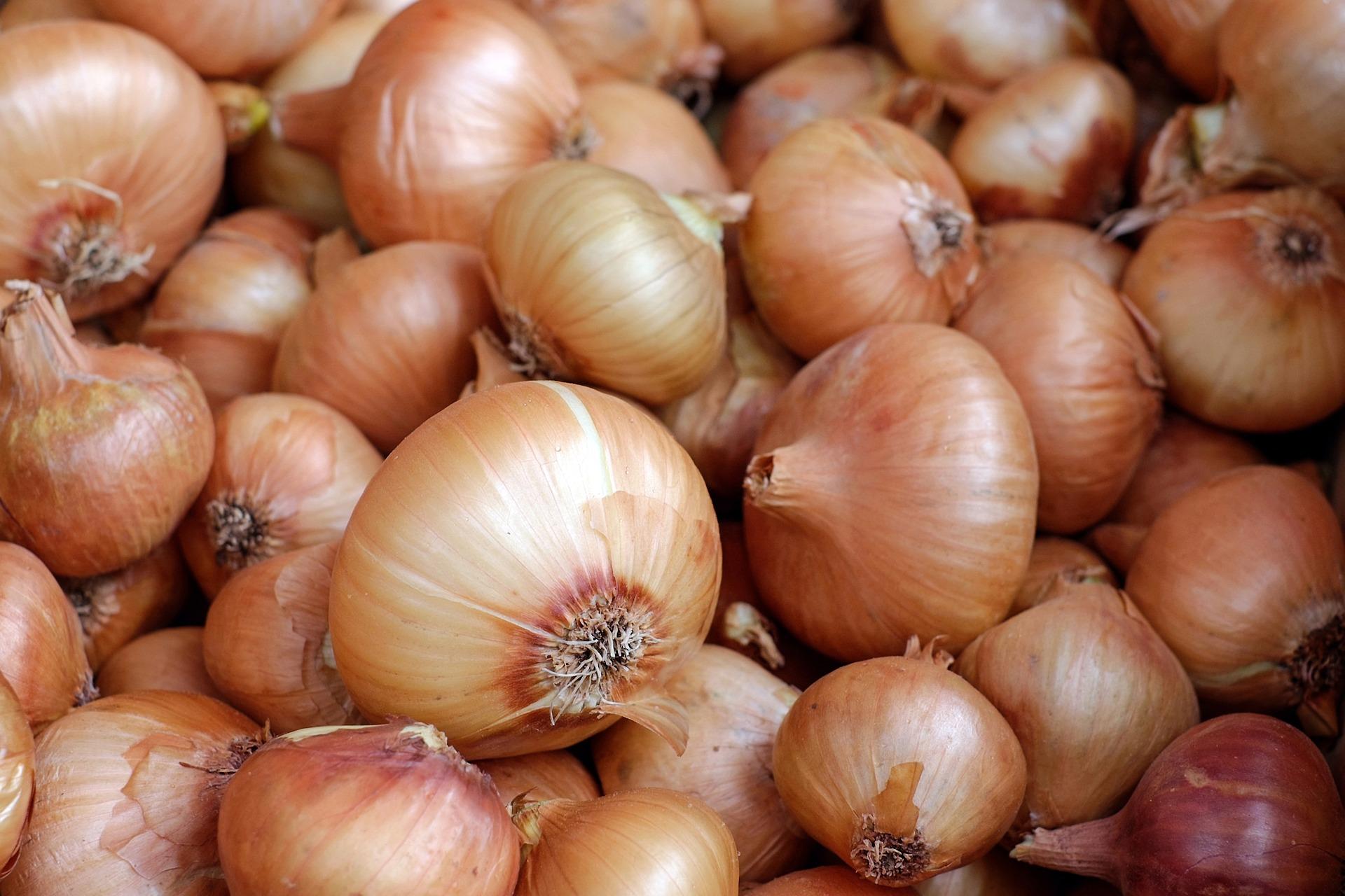 onions 1397037_1920