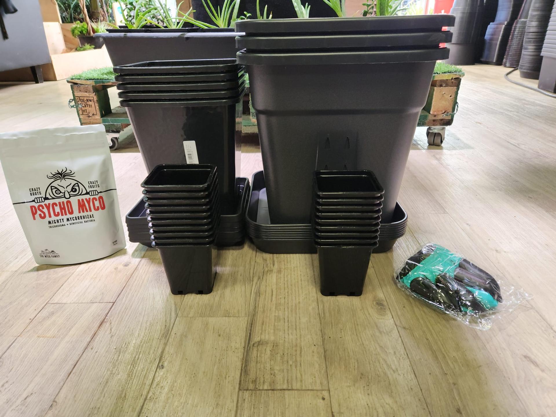 photo 2026 04 01 15 19 42