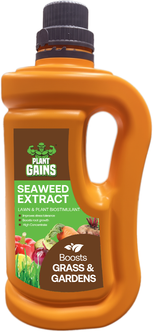 plant gains seaweed extract