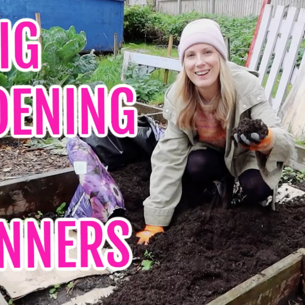 No dig allotment gardening for absolute beginners