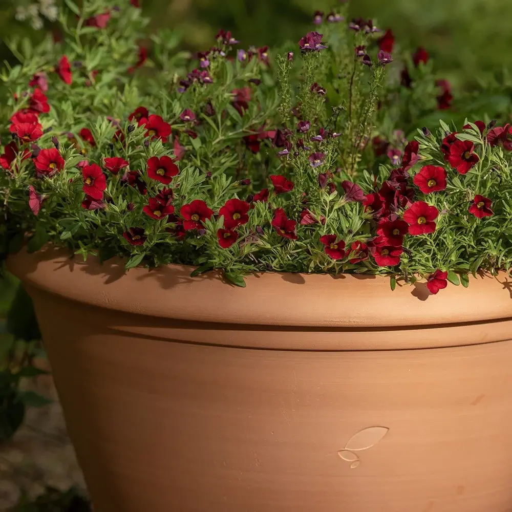 pr2000052243_card4_lg 3a62336c44555bebecb3872062d7b9ef