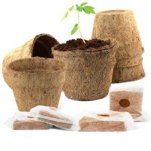 uploads/images/Product Coir Planter Pack 300x300