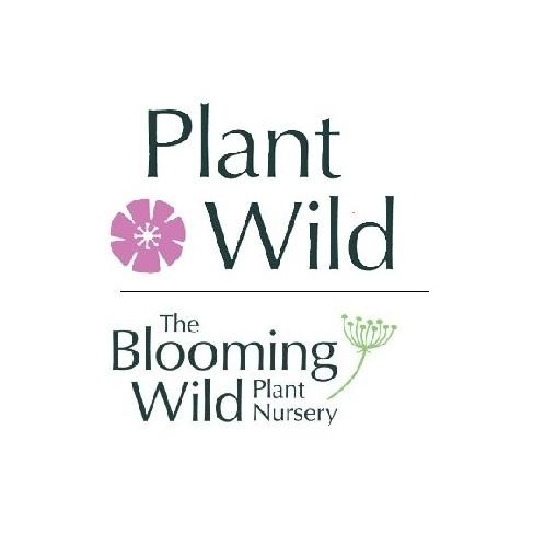 uploads/images/PlantWild