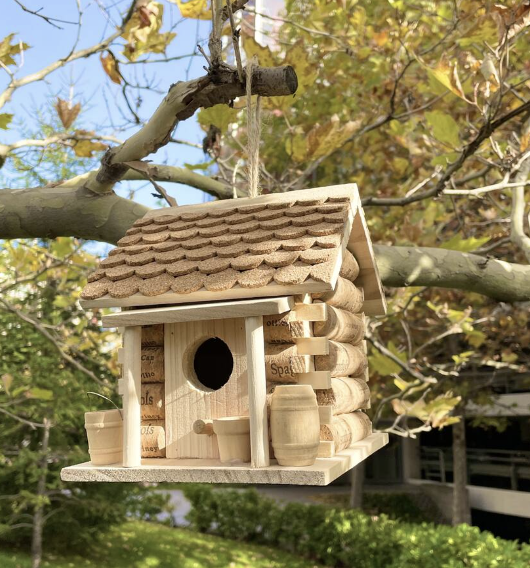 uploads/images/Screenshot 2026 02 11 At 16.16.32