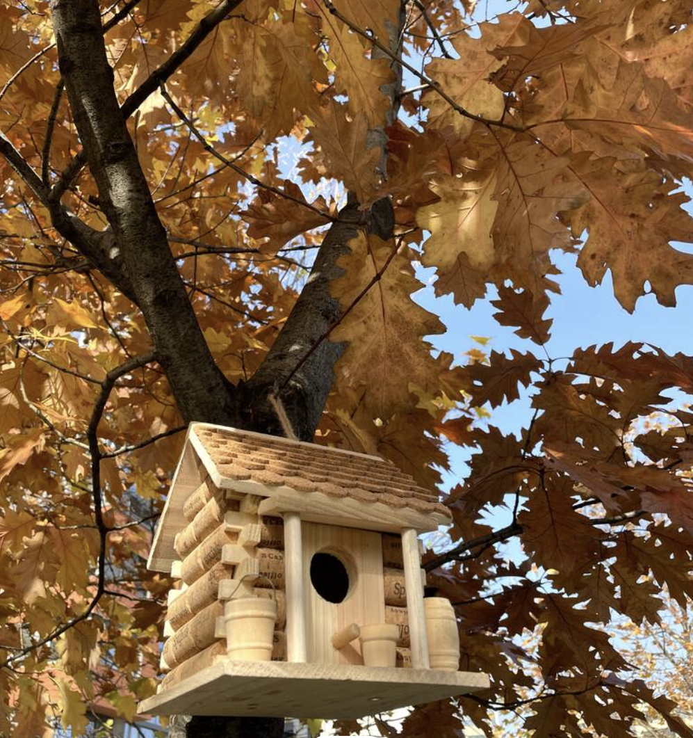 uploads/images/Screenshot 2026 02 11 At 16.16.52