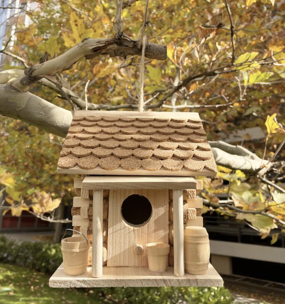 uploads/images/Screenshot 2026 02 11 At 16.17.38