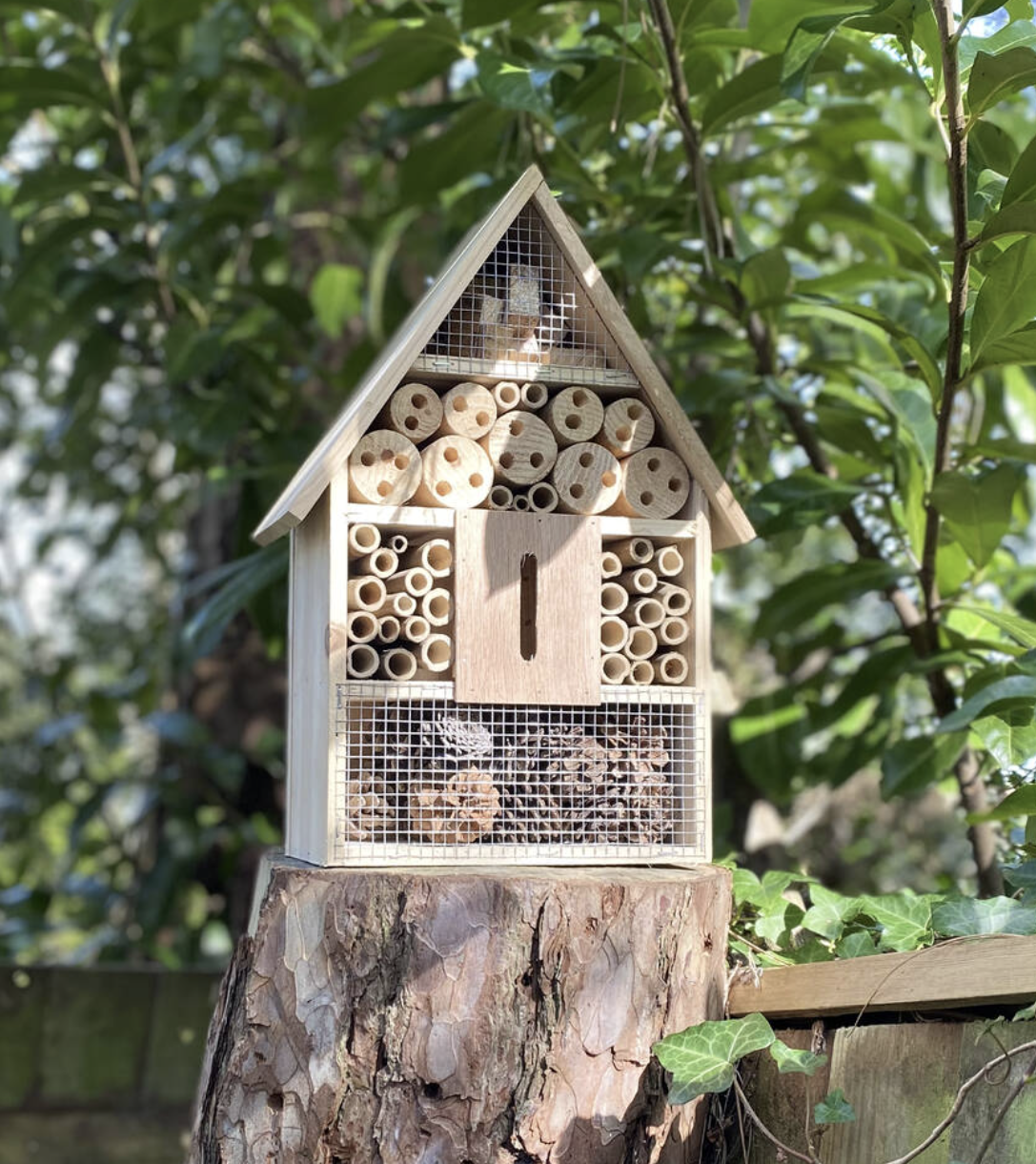 uploads/images/Screenshot 2026 02 11 At 16.18.59