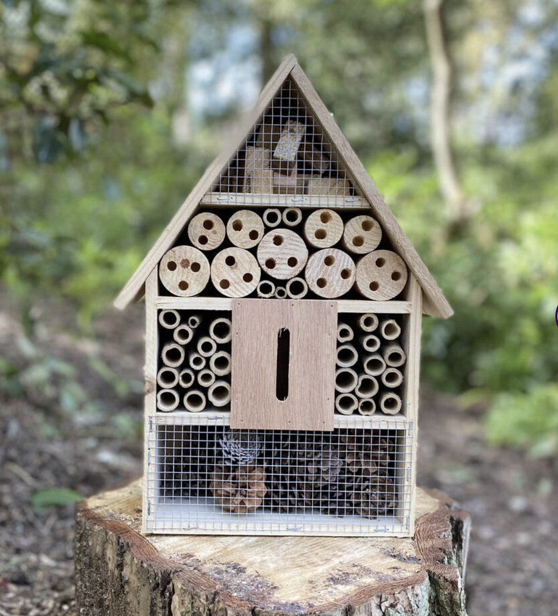 uploads/images/Screenshot 2026 02 11 At 16.19.16