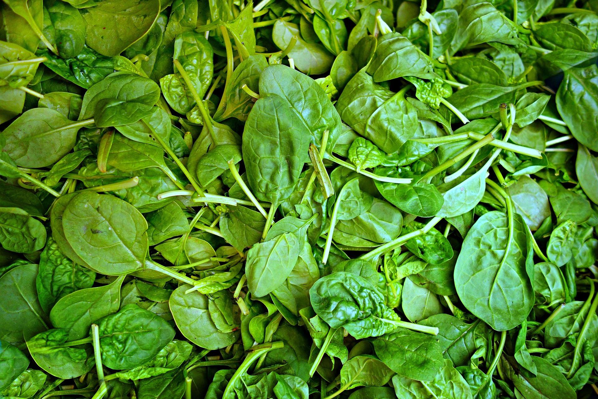 uploads/images/Spinach 1522283_1920