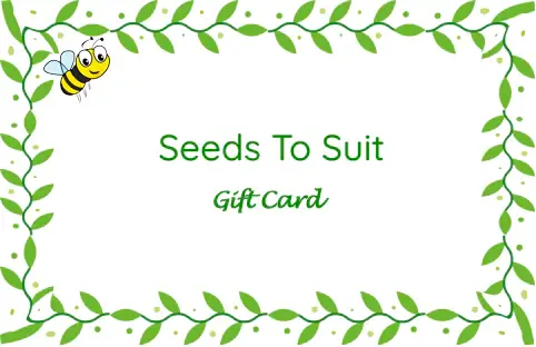 stsgiftcard