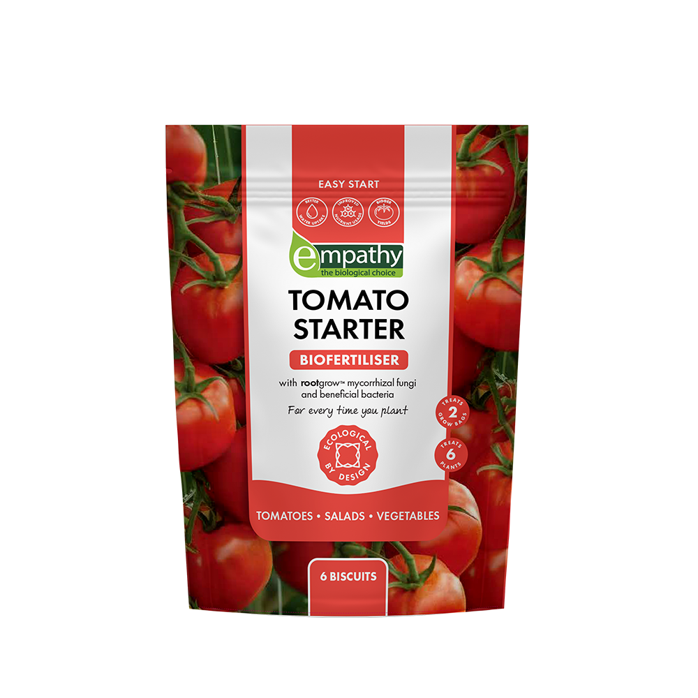 tomato starter 6 bis